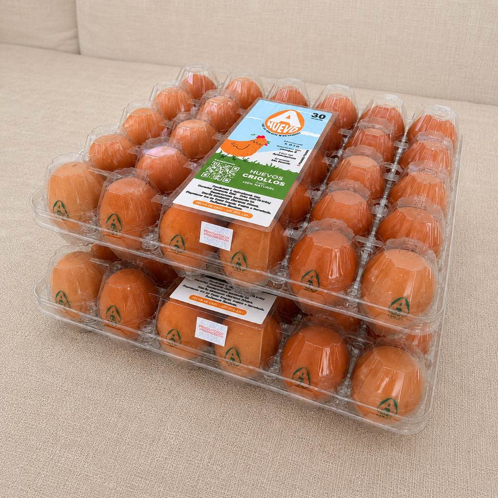 Huevos Criollos Grandes – 2 Bandejas (60 unidades)