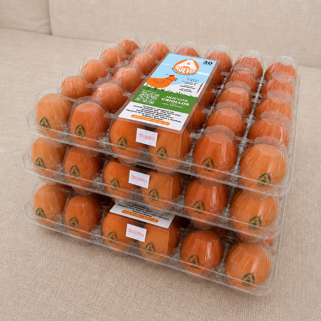 Huevos Criollos Grandes – 3 Bandejas (90 unidades)