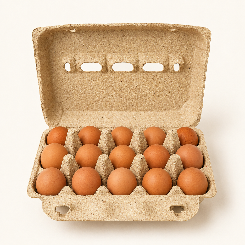 Huevos Criollos Grandes – Maple de 15 unidades