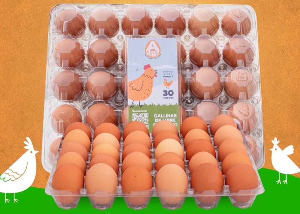 Huevos Criollos Grandes – 1 Bandeja (30 unidades)