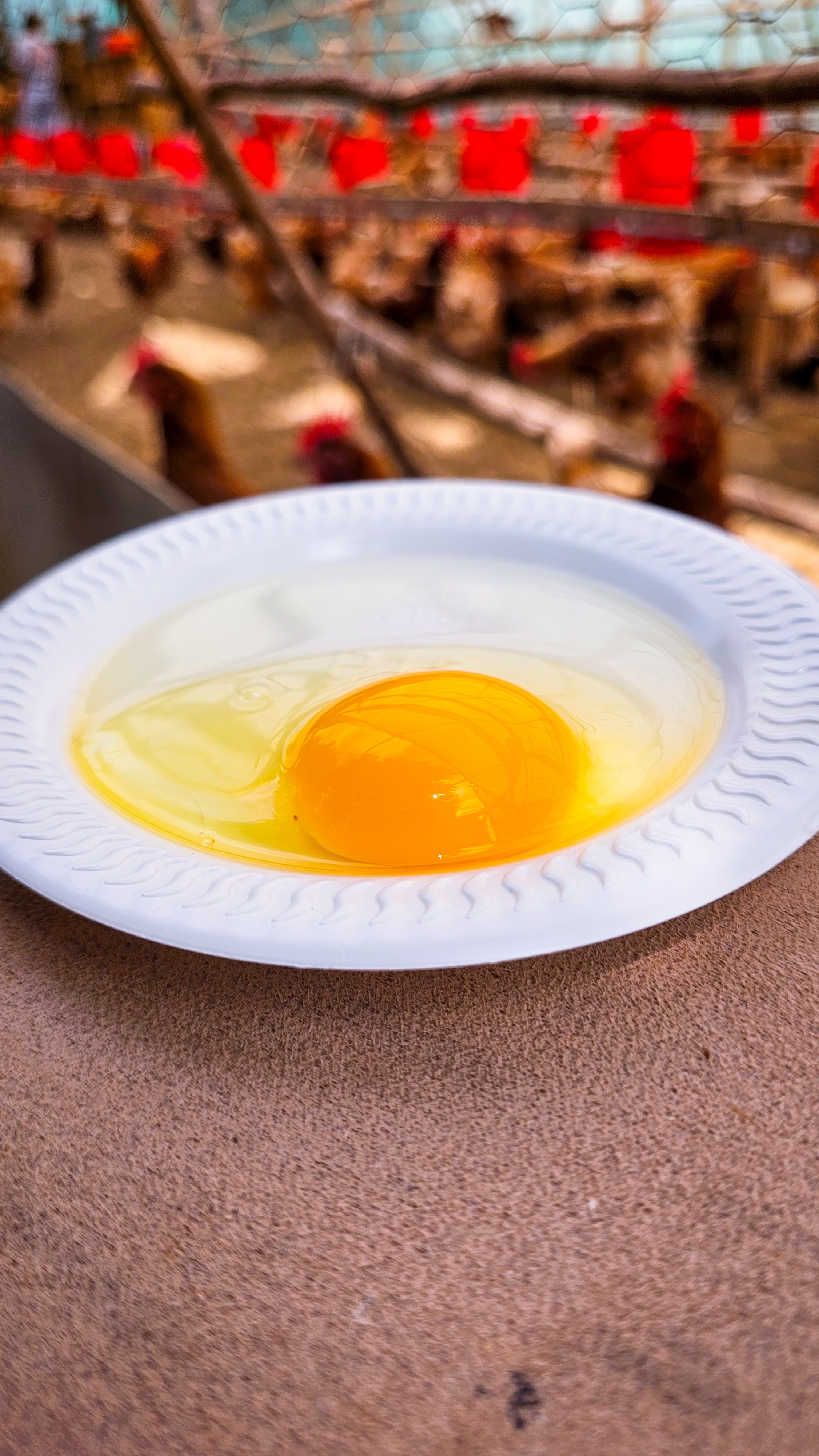 Huevos Criollos Medianos – 1 Bandeja (30 unidades)
